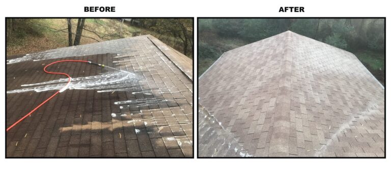 Roof Cleaning in Olympia Fields, IL